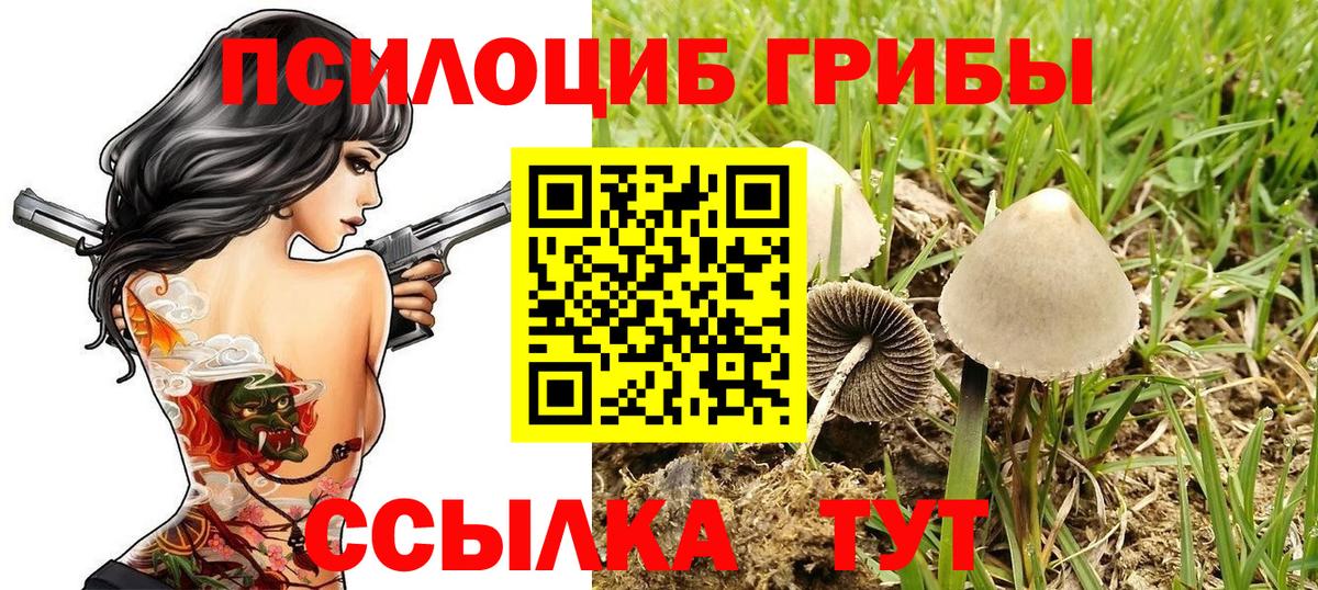 Ейск  Псилоцибиновые грибы Psilocybine cubensis  Вход с VPN 
