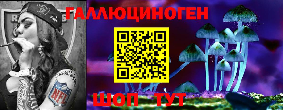Псилоцибиновые грибы GOLDEN TEACHER Ейск